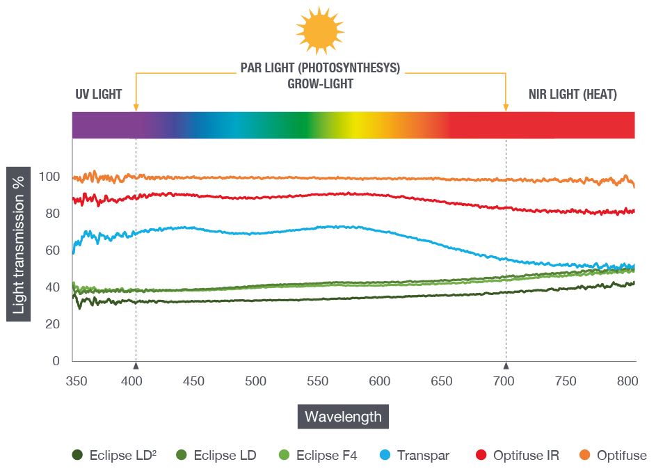 Graph effects grow light