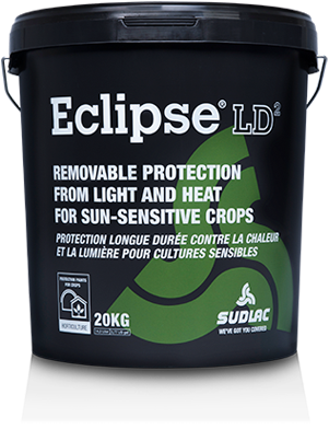 Eclipse LD